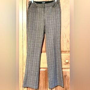 Columnist Barely Boot Dress Slacks from Express